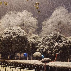 南京下雪了，你不在我身边