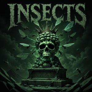 Insects