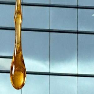 ハニートラップの朝