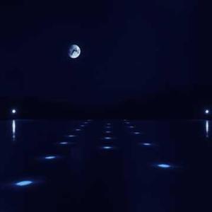 That Night I Met You