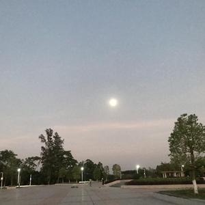 忽然之间（吉他版）