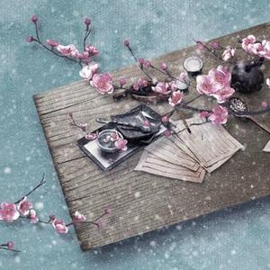 烟雨行舟（女生版）