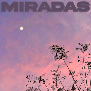 Miradas