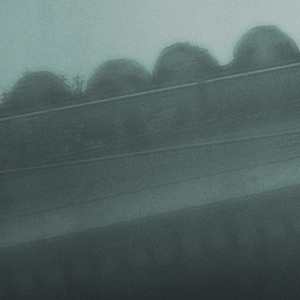 Summer Rain