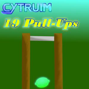 19 Pull-Ups