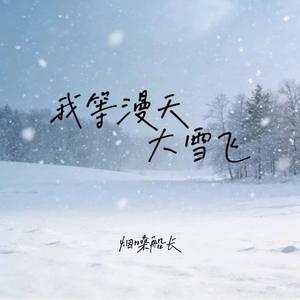 我等漫天大雪飞（翻自 张艺迈）