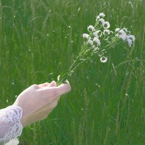 วันเดือนปี D.M.Y.(年月日）cover:jeab wattana