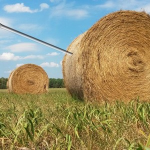 Needle in a Haystak