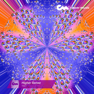 Higher Sense (Instrumental)