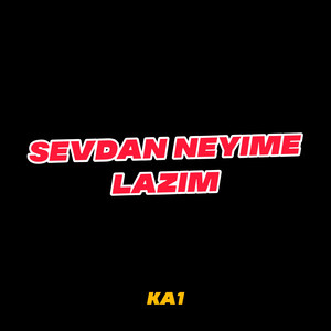 Sevdan Neyime Lazım