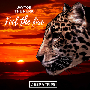 Feel the Fire (Fabiano Alves Remix)