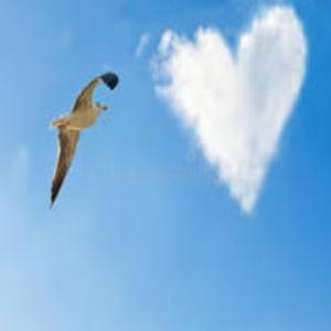 Courage to fly (Deep House )