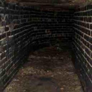 ✮✮脈拍PULSe_kAIZOKU海賊✮✮