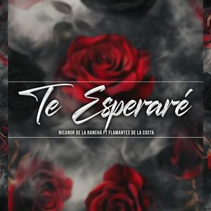 Te esperare (with Nicanor)
