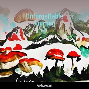 Unforgettable Journey