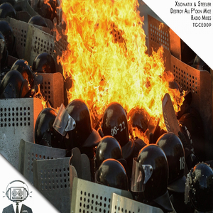 Destroy All ****ing Mice (Rit. Radio Remix)