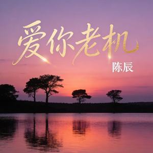 爱你老机