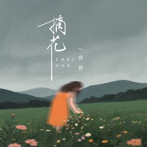 摘花 (DJ默涵版)