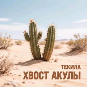 Текила