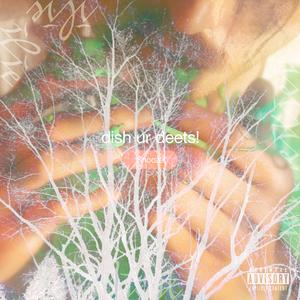 palm springz / ditto interlude