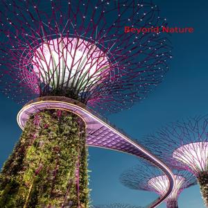 Beyond Nature