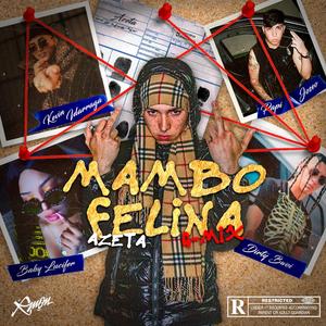 Mambo Felina (feat. Papi Joseo, Baby lucyfer, Kevin Idarraga & Dirty Bwoi)