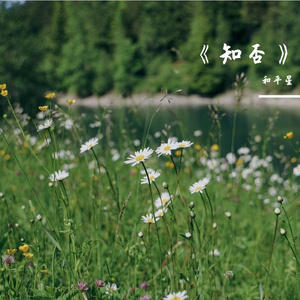 《知否》