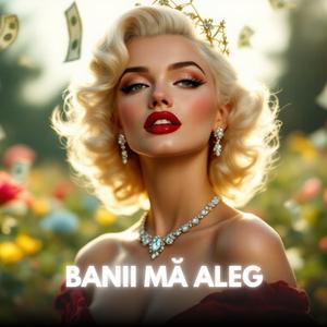 Banii Mă Aleg | Muzică de Manifestare și Abundență Financiară | Afirmații pentru Prosperitate