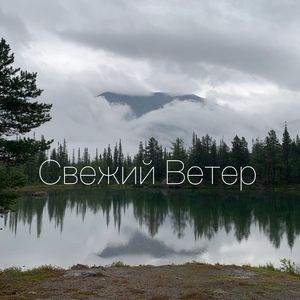 Кто играет струнами дождей?