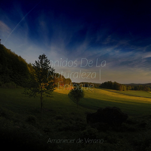 Vals Melancólico de la Luna