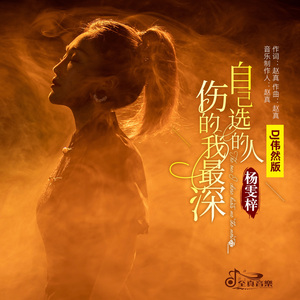 自己选的人伤的我最深 (DJ版)