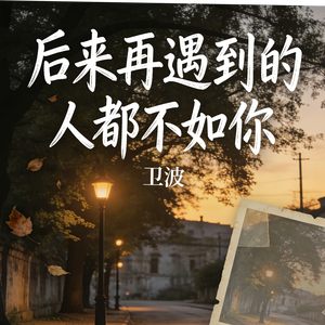 后来再遇到的人都不如你