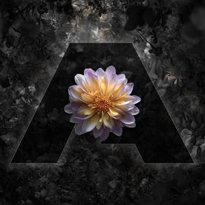 They Wanna Hear You Sing