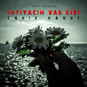 İhtiyacım Var Gibi