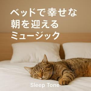 夢のつづきの朝