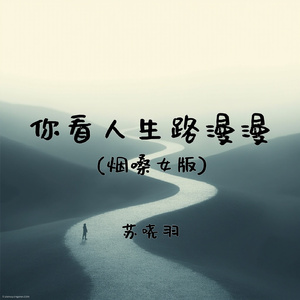 你看人生路漫漫(烟嗓女版)