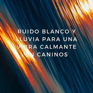 Paseo Increíble En Día Lluvioso