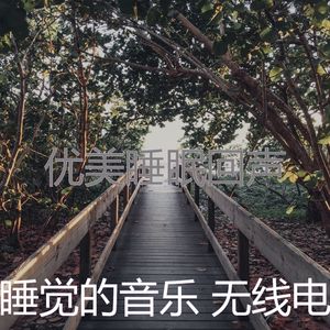 精彩做梦环境