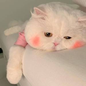 刘崇健-失忆（晟大仔 remix）