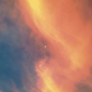 Desabafo (a maior busca da minha vida é por um pertencimento)