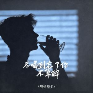 不喝到忘了你不算醉（DJ彭锐版）