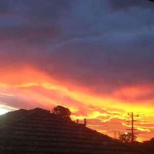 /*free*/_"Twilight"_