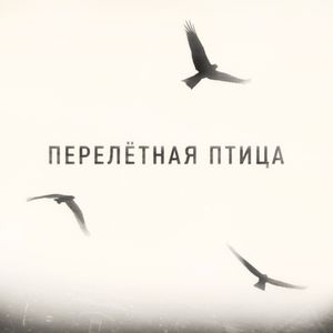 ПЕРЕЛЁТНАЯ ПТИЦА