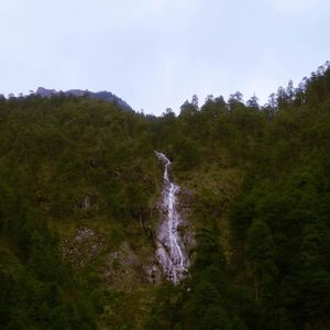 听大地在呼吸