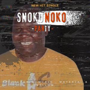 Party (feat. Black S Music, Material & Nellow)