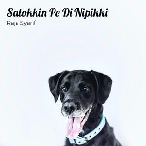 Satokkin Pe Di Nipikki