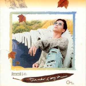 Tình như lá bay xa