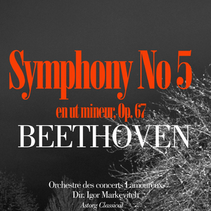 Symphonie No. 5 en ut mineur, Op. 67: III. Allegro