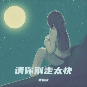 请你别走太快