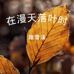 在漫天落叶时